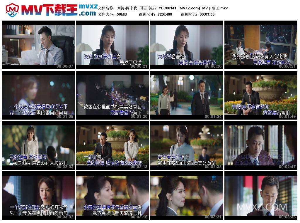 刘涛-两个我_国语_流行_YEC00141